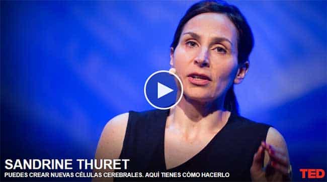 mitos sobre el cerebro